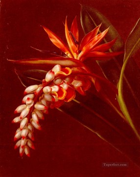 極楽鳥花 ヨハン・ラウレンツ・ジェンセンの花 Oil Paintings